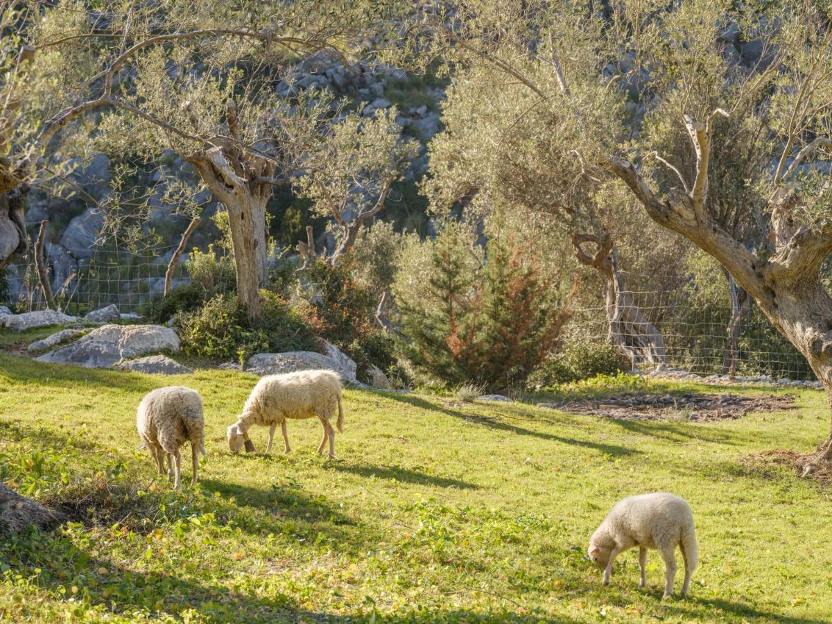 Agroturismo Muleta de Ca S'hereu Puerto de Sóller Exterior foto